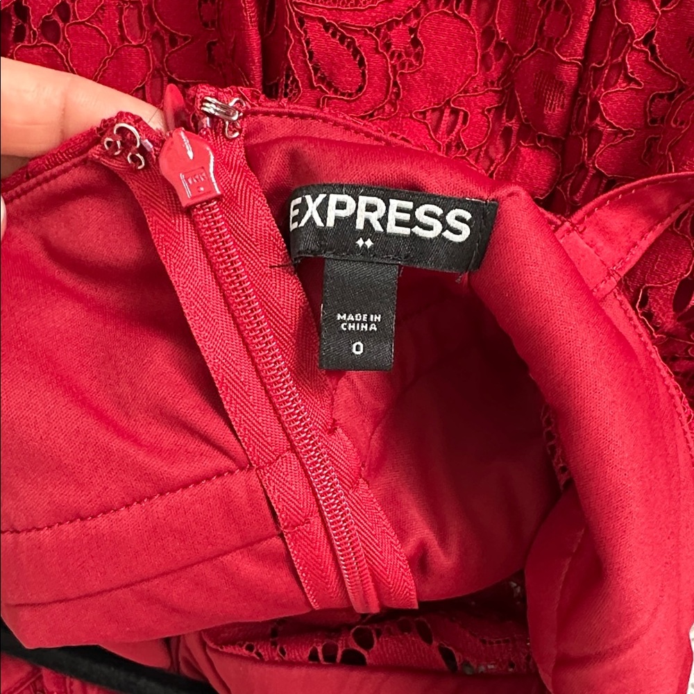 Express Lace Dress - Picture 3 of 4